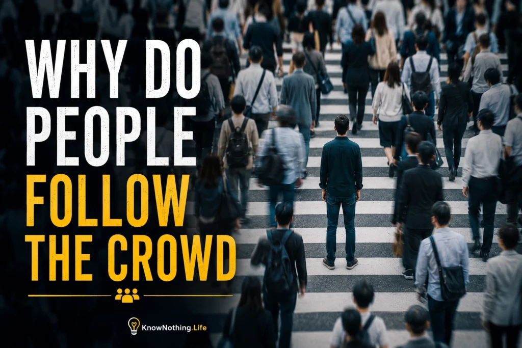 Why do people follow the crowd?