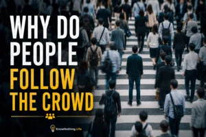 Why do people follow the crowd?